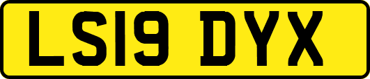LS19DYX