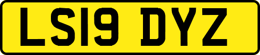 LS19DYZ