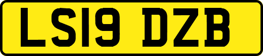 LS19DZB
