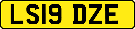 LS19DZE