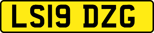 LS19DZG