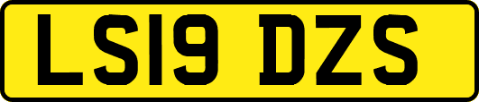 LS19DZS