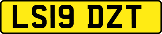 LS19DZT