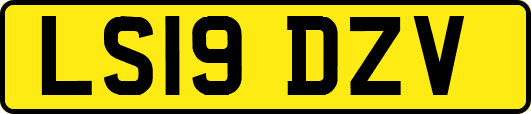 LS19DZV