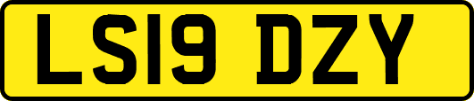 LS19DZY