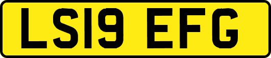 LS19EFG