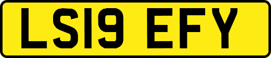 LS19EFY