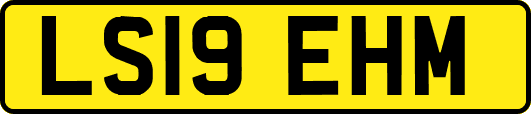 LS19EHM