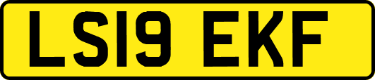 LS19EKF