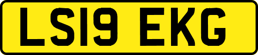 LS19EKG