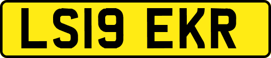 LS19EKR