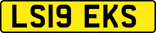 LS19EKS