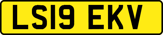 LS19EKV