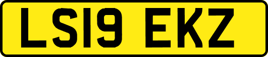 LS19EKZ