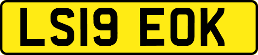 LS19EOK