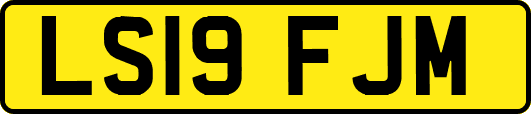 LS19FJM