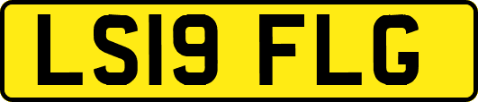 LS19FLG