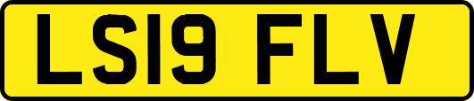 LS19FLV