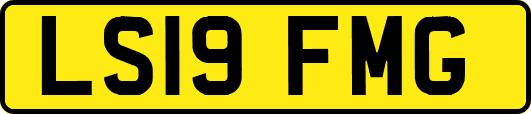 LS19FMG