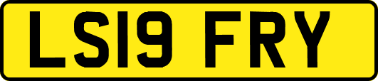 LS19FRY