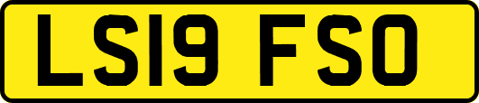 LS19FSO