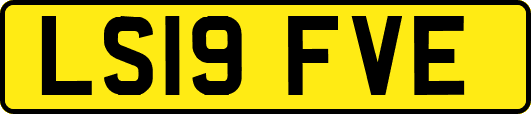 LS19FVE