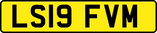 LS19FVM