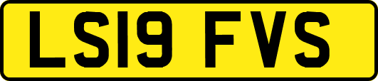 LS19FVS