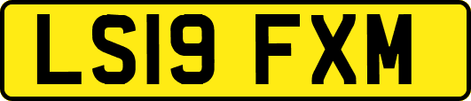 LS19FXM