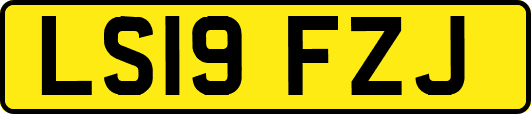 LS19FZJ