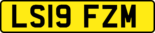 LS19FZM