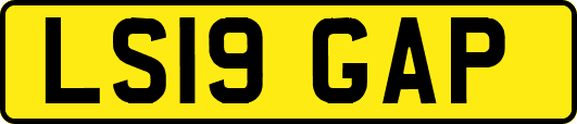 LS19GAP