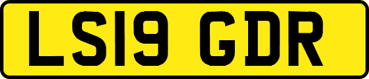 LS19GDR