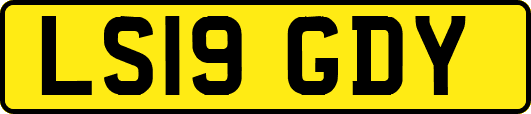 LS19GDY