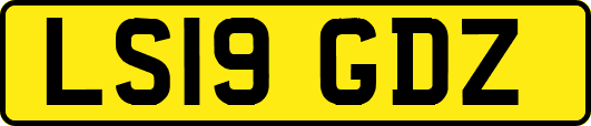 LS19GDZ