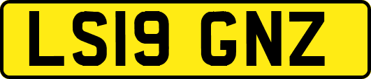 LS19GNZ