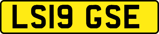 LS19GSE