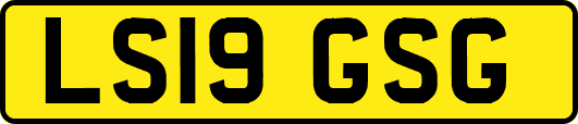 LS19GSG