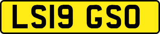 LS19GSO