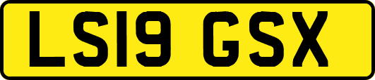 LS19GSX