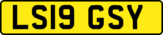 LS19GSY