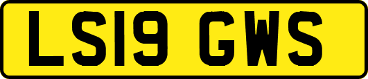 LS19GWS