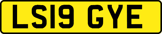 LS19GYE