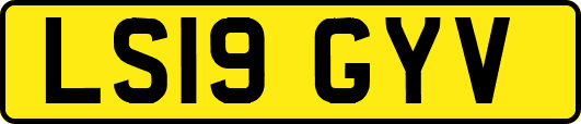 LS19GYV