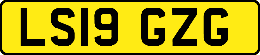 LS19GZG