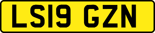 LS19GZN