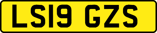 LS19GZS