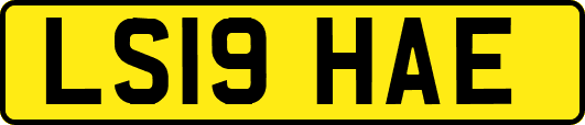 LS19HAE