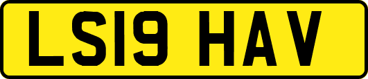 LS19HAV