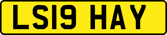 LS19HAY